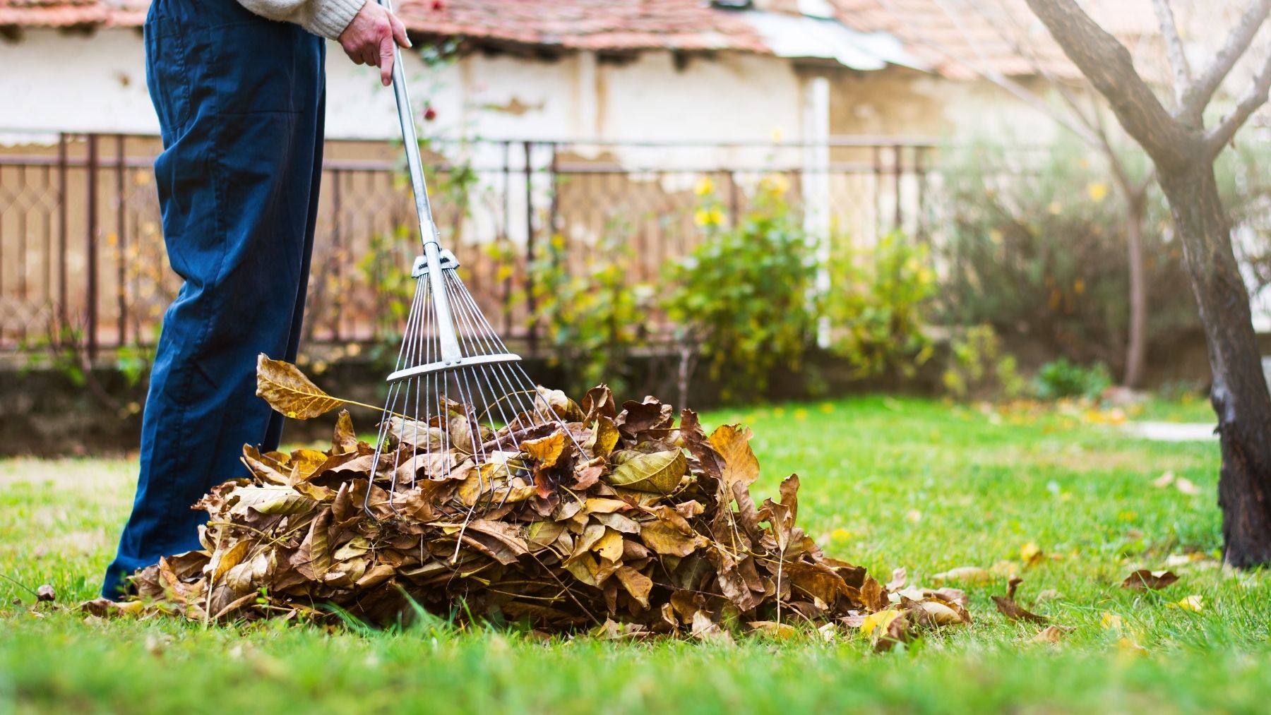 Fall Landscaping Business Capitol LLC [Residential]
